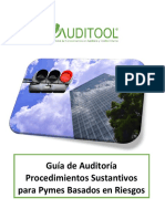 GuÝa de AuditorÝa para Procedimientos Sustantivos para Pymes Basados en Riesgos PDF