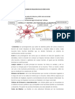 Taller 3 Biologia