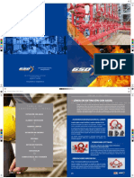 GSD_Brochure_2017_FINAL