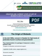 Creation-And-Current-State-Of-Art-Of-Biobeds-Use-In-The world-Maria-Cristina-Diez PDF