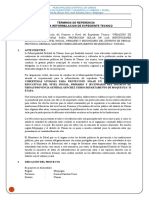 TDR-Reformulacion-coberturas livianas