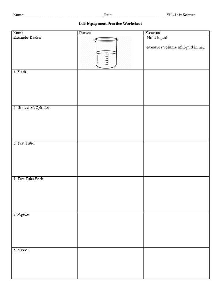 Lab Equipment Practice Worksheet PDF