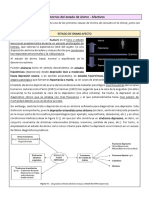 Trastornos Afectivos PDF