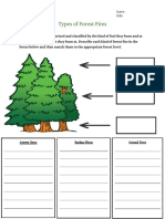 Madison - Fire Worksheet 2