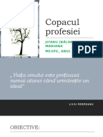 Copacul Profesiei