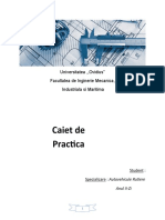 Caiet de Practica - Service