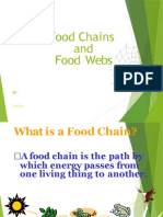 Food Chains