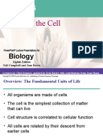 A Tour of The Cell: Biology