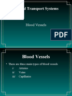 Animal Transport Systems: Blood Vessels