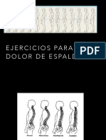 Ejercicios para El Dolor de Espalda PDF