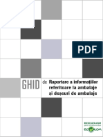 Ghid-Raportare-nou1