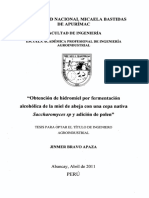 Obtención de Hidromiel (PERU) PDF