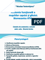 Anatomia Funcțională A Mușchilor Capului Și Gâtului PDF