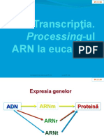 Transcriptia.pptx