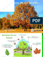 Beneficios de Los Árboles PDF