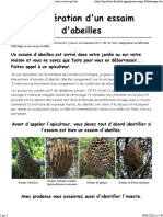 Récupération D'un Essaim D'abeilles