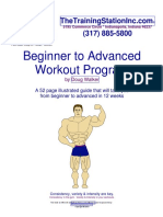 Beginnertoadvanced PDF