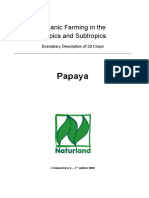 papaya_organic_cultivation-guide.pdf