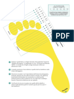 Pedimetro IT PDF