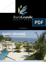 BARÚ GRANDE 2020.pdf