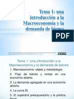 Presentación Tema 1 OCW PDF