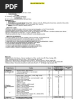 Proiect Didactic2