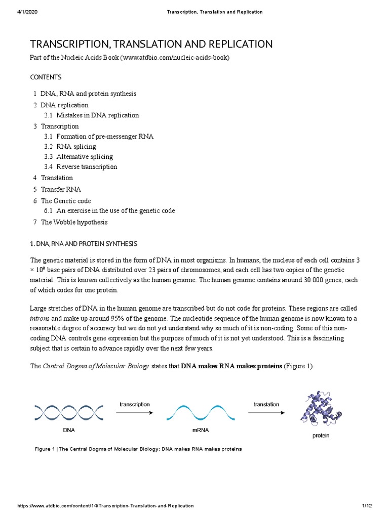 DNA Replication, Transcription, Translation | PDF | Rna | Translation ...