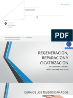 REGENERACION, REPARACION Y CICATRIZACION (1)