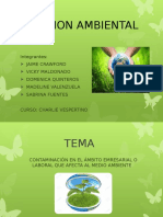 Gestion Ambiental Trabajo de Vicky Proyecto