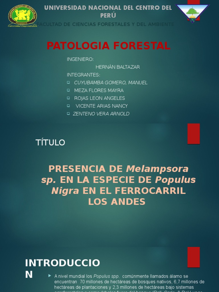 Patologia Forestal Exposición PDF Hoja Hongo