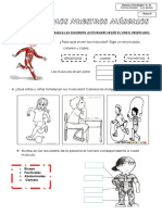 Ficha de Los Musculos