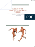 Basic A&P Slides Class 8 Muscles of The Extremities PDF