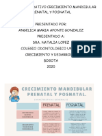 Cuadro Comparativo Crecimiento Mandibular Prenatal y Posnatal