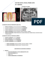 Resumen Anatomia Dental Parcial Primer Corte