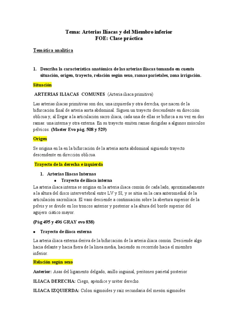 Órganos Reproductores Internos: Anatomía y Función del Útero y Cérvix -  Studocu, image size:768x1024