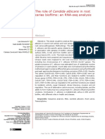 The Role of Candida Albicans in Root Caries Biofilms