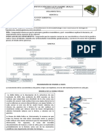 Genética: Transmisión de padres a hijos