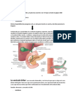 Trabajo Fisiologia