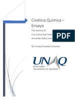 Ensayo Critico PDF