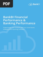 Bankbi Financial Performance & Banking Performance