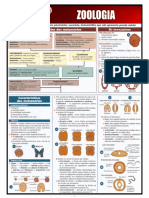 Zoologia PDF