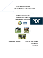 Características de las Razas de Ganado Holstein, Gyr, Guzerat y Limonero