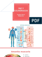 SNC y Colinergicos