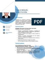 Pablo Miguel Vélez Puyén: Perfil Profesional