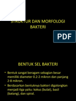 2_struktur-morfologi kuman (2c)-1