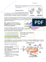 tema de estudio 1.pdf