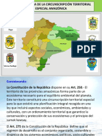 Resumen Ley Especial Amazónica Presentada Por El CONGA Al CNE PDF