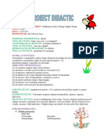0_proiect_activitate_matematica.doc