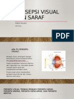 Persepsi Saraf1