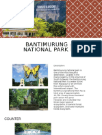 BANTIMURUNG NATIONAL PARK.pptx